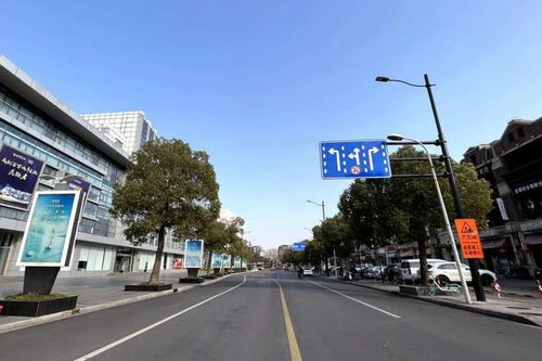 上海2023年度精品道路出炉,宝山7条道路 1个精品区域上榜 有你家附近的吗